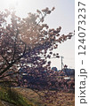 河津桜 124073237