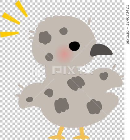 Downy grey baby bird 124073421