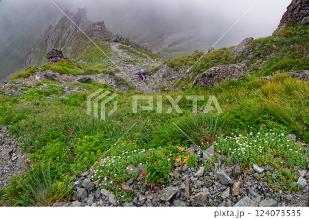 霧湧く南アルプス・悪沢岳から荒川中岳への登山道 124073535