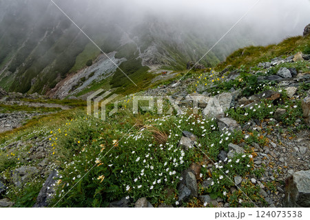 霧湧く南アルプス・悪沢岳から荒川中岳への登山道 霧湧く南アルプス・悪沢岳から荒川中岳への登山道 124073538
