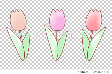 Cute watercolor illustration set of tulips 124073580