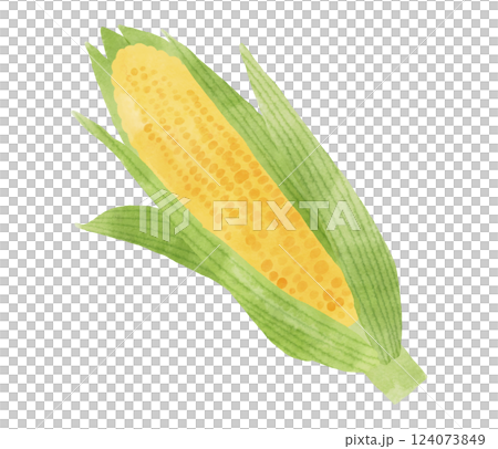 Watercolor style corn illustration 124073849