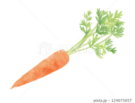 水彩風の人参のイラスト 水彩風の人参のイラスト 124073857