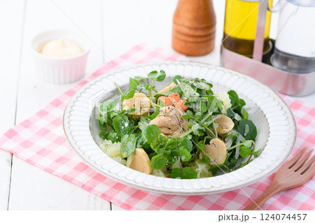 クレソンとマッシュルームのおしゃれなサラダ クレソンとマッシュルームのおしゃれなサラダ 124074457