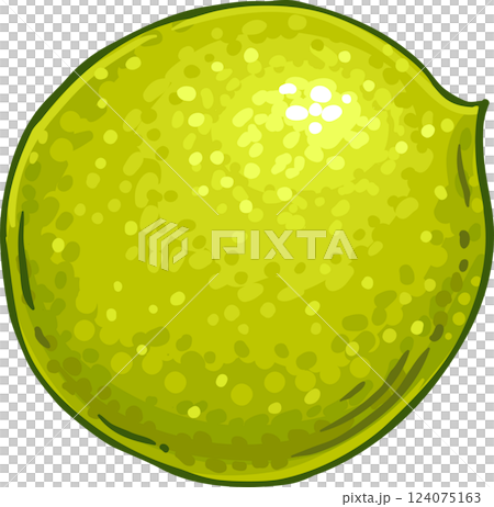 Walnut Colored Detailed Illustration. Organic natural nutritional healthy food ingredient, vegetarian diet product. 124075163