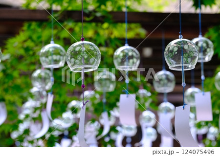 青もみじと風鈴の夏の涼のイメージ 124075496