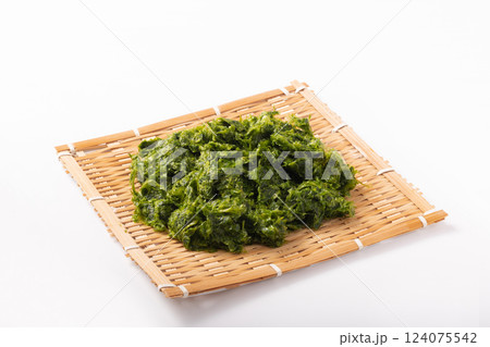 ［福島県　松川港水揚げ］生青のり　あおさ 124075542