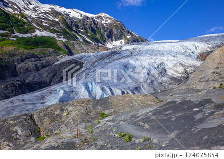エグジット氷河 エグジット氷河 124075854