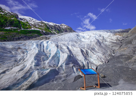 エグジット氷河 124075855