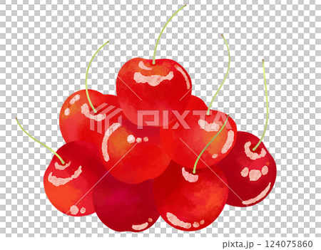 水彩風のサクランボの盛り合わせのイラスト素材 124075860