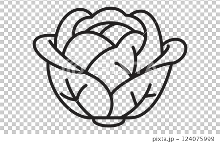 キャベツのシンプルな線画アイコン 野菜のモノクロイラスト 124075999