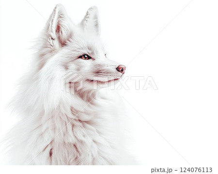 Captivating close-up of a graceful Arctic fox against a clean white background showcasing its stunning white fur and keen gaze Captivating close-up of a graceful Arctic fox against a clean white background showcasing its stunning white fur and keen gaze 124076113