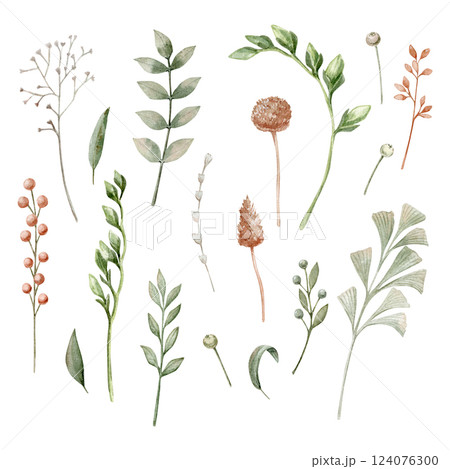 Watercolor set hand drawn from savage green and different branches with and without berries, dry branches. 124076300