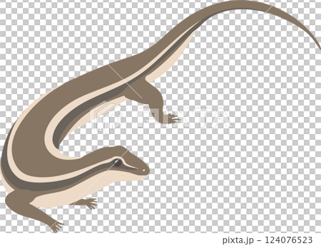 ニホントカゲのイラスト素材 124076523