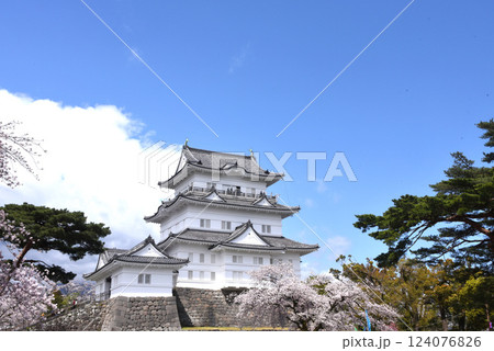 小田原城　桜 124076826