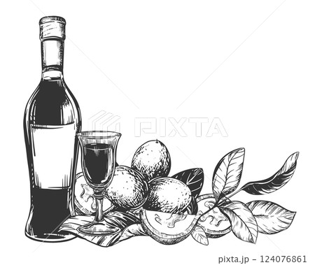 Bottle of Italian liqueur Nocino, glass with aperitif. Vector walnut in engraving technique. Unripe walnut seeds whole and halves, leaves and branches. Linear sketch in black ink on white background. 124076861