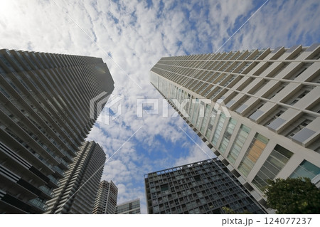 東雲のタワーマンション（東京都江東区） 124077237