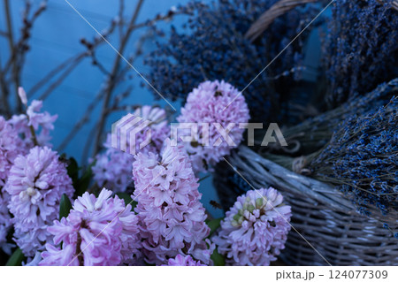 Delicate Pink Hyacinths and Dried Lavender in Vintage Basket Enhance the Springtime Atmosphere Against a Soft Blue Background Delicate Pink Hyacinths and Dried Lavender in Vintage Basket Enhance the Springtime Atmosphere Against a Soft Blue Background 124077309