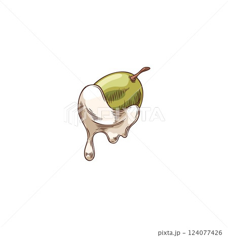 Watercolor hand drawn sketch of grape in white chocolate, vector illustration. 124077426