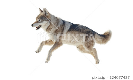 Wolf in mid-air jump showcasing agility and...のイラスト素材 [124077427] - PIXTA