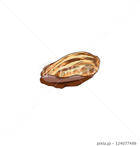 Classic French madeleine cookie in melted dark chocolate hand drawn vector illustration, biscuits fondue, dessert snack Classic French madeleine cookie in melted dark chocolate hand drawn vector illustration, biscuits fondue, dessert snack 124077486