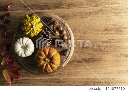 Empty Thanksgiving background with pumpkins 124077610
