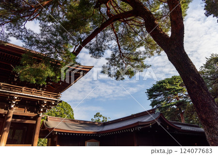 Traditional wooden rooftops of Meiji Shrine in Tokyo seen from an unusual angle 124077683