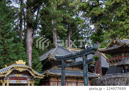 Bronze torii gate at Toshogu Shrine in Nikko Japan surrounded by ornate temple buildings Bronze torii gate at Toshogu Shrine in Nikko Japan surrounded by ornate temple buildings 124077689