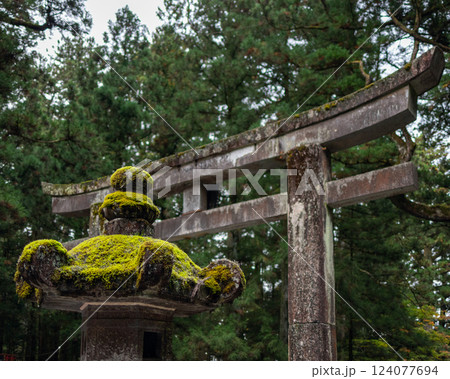 Shinto shrine in Nikko Tochigi Japan surrounded by tall trees 124077694