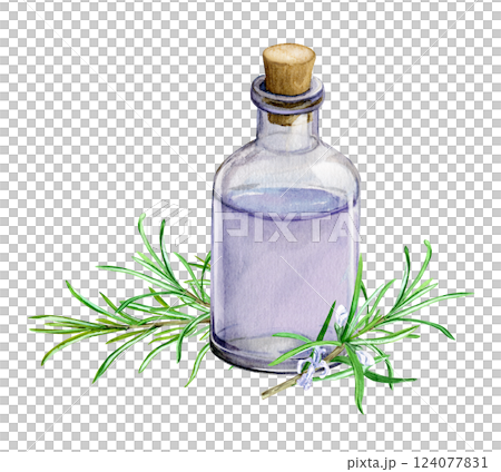 Fresh branches and a bottle of Rosemary essential oil or infused water. Natural ingredient for cosmetics, perfumery. Aromatic rosemary hydrolate. Watercolor illustration. 124077831