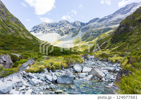ニュージーランド ワイアウ峠ルート(Waiau Pass Route)の麓の山岳景色 ニュージーランド ワイアウ峠ルート(Waiau Pass Route)の麓の山岳景色 124077881
