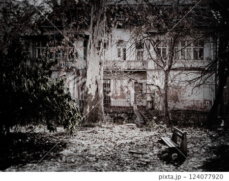 A decaying old house stands behind a veil of autumn leaves, surrounded by overgrown vegetation and a weathered bench, evoking nostalgia and mystery. 124077920