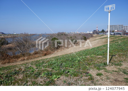 千葉県松戸市　江戸川と堤防　海から19.25㎞地点 124077945