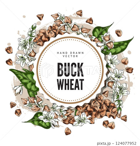 Buckwheat branch with flowers, leaves and seeds sketch vector round label design, hand drawn agricultural food products 124077952