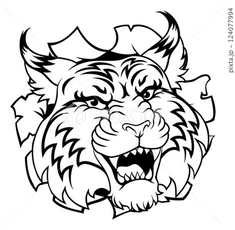 Wildcat Bobcat Sports Team Cartoon Animal Mascot 124077994