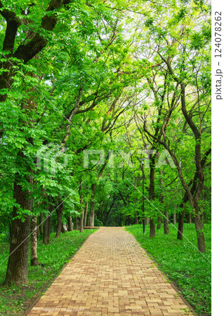 Brick pathway through a lush green park 124078262