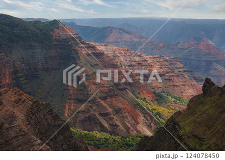View of Waimea Canyon on Kauai island, showcasing red and brown ridges, green vegetation, and distant layered rock formations under natural light. View of Waimea Canyon on Kauai island, showcasing red and brown ridges, green vegetation, and distant layered rock formations under natural light. 124078450