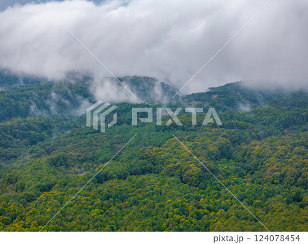 Dense green forest canopy covered by low hanging clouds with rolling hills partially obscured by mist, showcasing Kauai's tropical landscape. Dense green forest canopy covered by low hanging clouds with rolling hills partially obscured by mist, showcasing Kauai's tropical landscape. 124078454