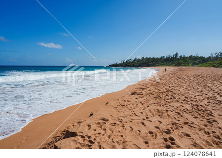 Golden sand beach with gentle ocean waves, sparse vegetation, and a forested hill under a clear blue sky, likely on Kauai or Oahu in Hawaii. Golden sand beach with gentle ocean waves, sparse vegetation, and a forested hill under a clear blue sky, likely on Kauai or Oahu in Hawaii. 124078641