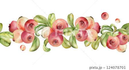 Cranberry lingonberry bunch, green leaves, ripe swamp forest berry bearberry teaberry wintergreen. Isolated seamless banner border hand drawn in watercolor. For home preserves, recipe book, stationery 124078701