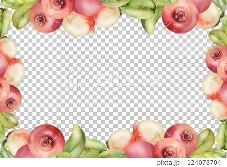 Lingonberry cranberry with green leaves, water dew drops, hand drawn in watercolor, ripe forest berry bearberry teaberry wintergreen. Isolated border corner frame. Dessert cafe menu, farmers market 124078704
