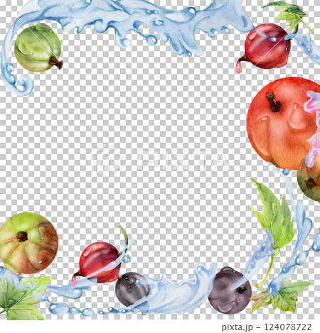 Currant gooseberry flying in water splash with green leaves, dew drops, ripe garden berry juneberry casseille jostaberry hand drawn in watercolor. Isolated border corner square frame. Drink packaging Currant gooseberry flying in water splash with green leaves, dew drops, ripe garden berry juneberry casseille jostaberry hand drawn in watercolor. Isolated border corner square frame. Drink packaging 124078722