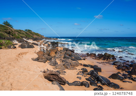 Golden sandy beach with scattered volcanic rocks, vibrant blue ocean waves, clear horizon, and green vegetation on small hills in Hawaii. 124078748