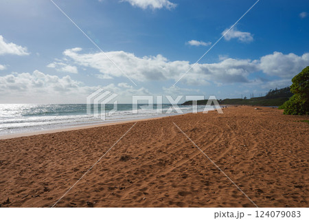 A tranquil beach with reddish brown sand, gentle waves, and a tree covered hill in the distance under a bright blue sky with scattered clouds. 124079083