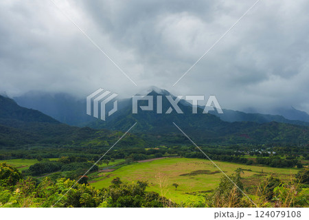 A green valley with vibrant vegetation, scattered cattle, and dramatic mist covered mountains on Kauai Island. Overcast sky adds a serene atmosphere. A green valley with vibrant vegetation, scattered cattle, and dramatic mist covered mountains on Kauai Island. Overcast sky adds a serene atmosphere. 124079108