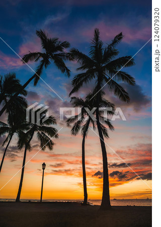 Silhouetted palm trees and a vintage lamp post frame a vibrant sunset with orange, pink, and purple hues. Boats dot the ocean horizon in Hawaii. 124079320