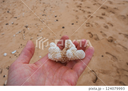 A close up of a hand holding a textured white coral piece. The sandy beach in the background shows scattered coral fragments and footprints. 124079993