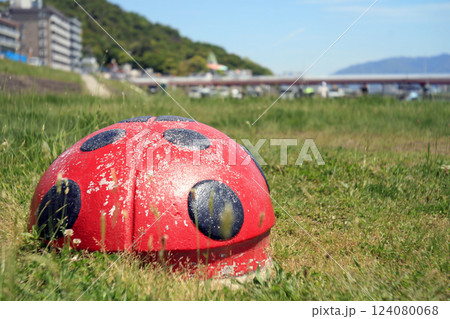 河川敷の遊具 河川敷の遊具 124080068