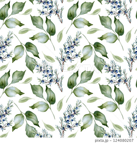 Juniper sprigs, holly branches, and berries in a seamless watercolor pattern isolated. Soft sage green foliage with evergreen twigs hand painted for textiles, wrapping paper. Repeat botanical designs. 124080207