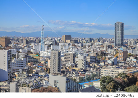 Aerial View of a Dense Urban Landscape, Tokyo Dec 6 2024 124080465